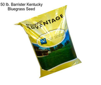 50 lb. Barrister Kentucky Bluegrass Seed