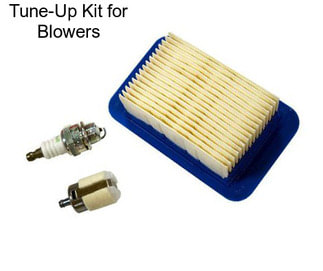 Tune-Up Kit for Blowers