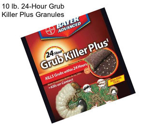 10 lb. 24-Hour Grub Killer Plus Granules