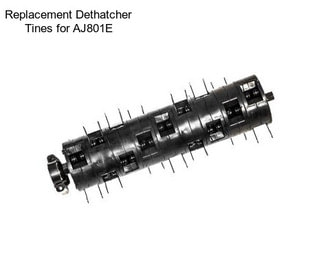 Replacement Dethatcher Tines for AJ801E