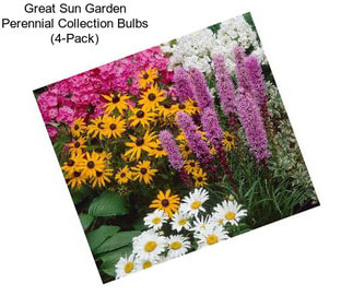 Great Sun Garden Perennial Collection Bulbs (4-Pack)