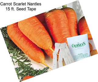 Carrot Scarlet Nantles 15 ft. Seed Tape