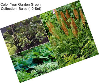 Color Your Garden Green  Collection  Bulbs (10-Set)