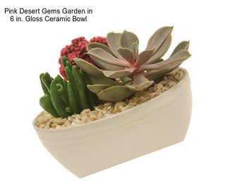 Pink Desert Gems Garden in 6 in. Gloss Ceramic Bowl