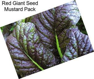 Red Giant Seed Mustard Pack