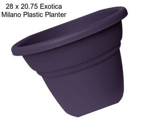 28 x 20.75 Exotica Milano Plastic Planter