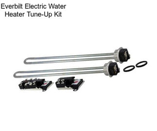 Everbilt Electric Water Heater Tune-Up Kit