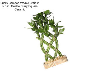 Lucky Bamboo Weave Braid in 5.5 in. Galileo Curry Square Ceramic