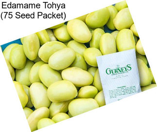 Edamame Tohya (75 Seed Packet)