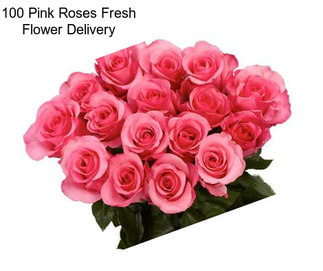 100 Pink Roses Fresh Flower Delivery