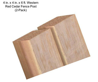 4 in. x 4 in. x 6 ft. Western Red Cedar Fence Post (2-Pack)