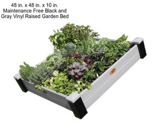 48 in. x 48 in. x 10 in. Maintenance Free Black and Gray Vinyl Raised Garden Bed