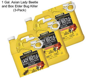 1 Gal. Asian Lady Beetle and Box Elder Bug Killer (3-Pack)