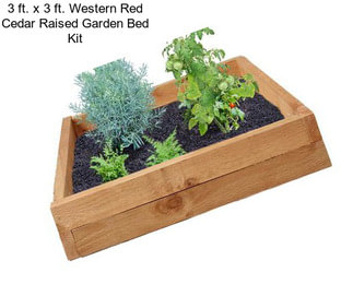 3 ft. x 3 ft. Western Red Cedar Raised Garden Bed Kit