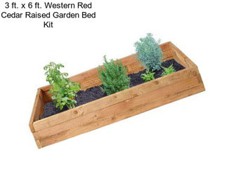 3 ft. x 6 ft. Western Red Cedar Raised Garden Bed Kit