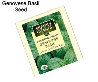 Genovese Basil Seed