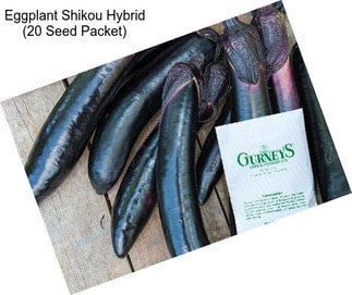 Eggplant Shikou Hybrid (20 Seed Packet)