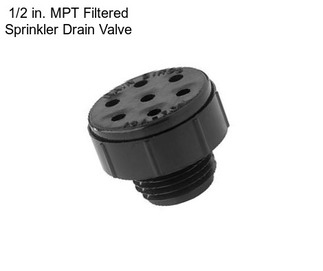 1/2 in. MPT Filtered Sprinkler Drain Valve