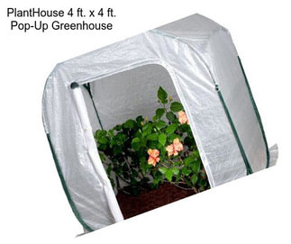 PlantHouse 4 ft. x 4 ft. Pop-Up Greenhouse