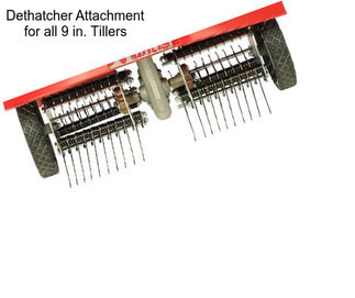 Dethatcher Attachment for all 9 in. Tillers