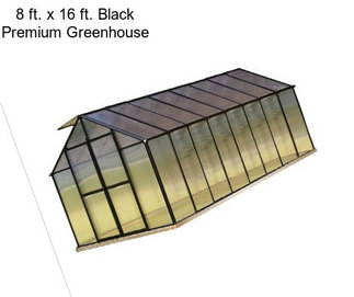 8 ft. x 16 ft. Black Premium Greenhouse