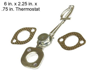 6 in. x 2.25 in. x .75 in. Thermostat