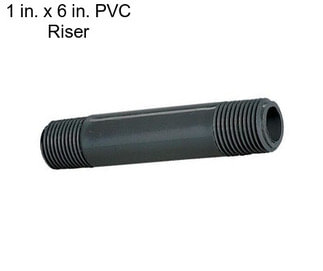 1 in. x 6 in. PVC Riser