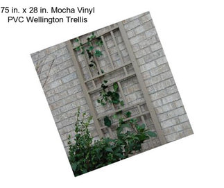 75 in. x 28 in. Mocha Vinyl PVC Wellington Trellis