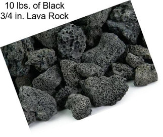 10 lbs. of Black 3/4 in. Lava Rock