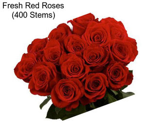 Fresh Red Roses (400 Stems)