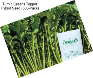 Turnip Greens Topper Hybrid Seed (500-Pack)
