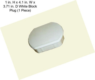 1 in. H x 4.1 in. W x 3.71 in. D White Block Plug (1 Piece)