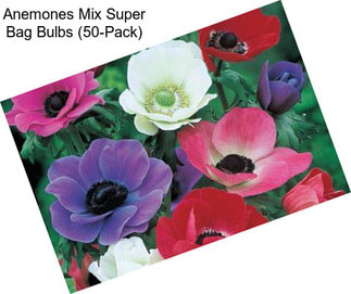 Anemones Mix Super Bag Bulbs (50-Pack)
