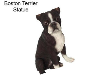 Boston Terrier Statue