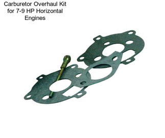 Carburetor Overhaul Kit for 7-9 HP Horizontal Engines