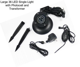 Large 36 LED Single Light with Photocell and Transformer
