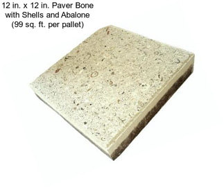 12 in. x 12 in. Paver Bone with Shells and Abalone (99 sq. ft. per pallet)