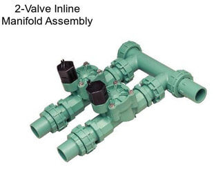 2-Valve Inline Manifold Assembly