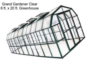 Grand Gardener Clear 8 ft. x 20 ft. Greenhouse
