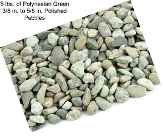 5 lbs. of Polynesian Green 3/8 in. to 5/8 in. Polished Pebbles