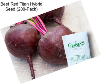 Beet Red Titan Hybrid Seed (200-Pack)