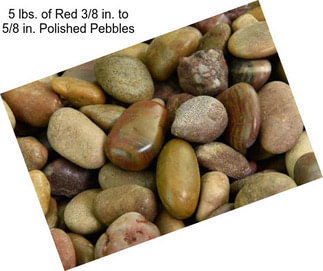 5 lbs. of Red 3/8 in. to 5/8 in. Polished Pebbles