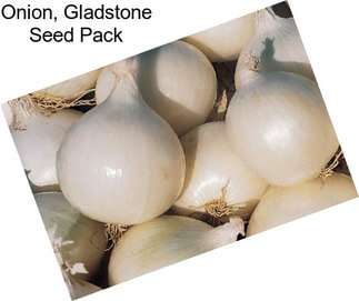 Onion, Gladstone Seed Pack