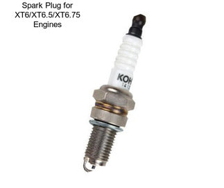 Spark Plug for XT6/XT6.5/XT6.75 Engines