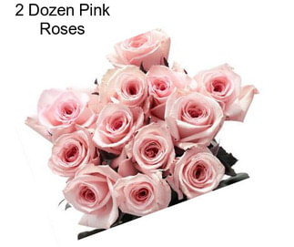2 Dozen Pink Roses