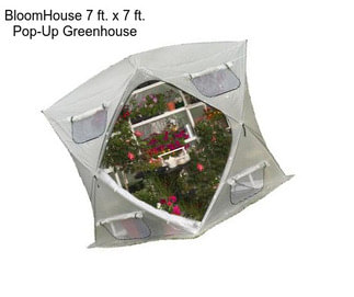 BloomHouse 7 ft. x 7 ft. Pop-Up Greenhouse