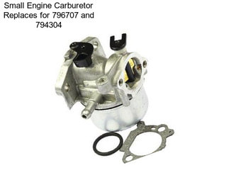 Small Engine Carburetor Replaces for 796707 and 794304