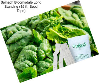 Spinach Bloomsdale Long Standing (15 ft. Seed Tape)
