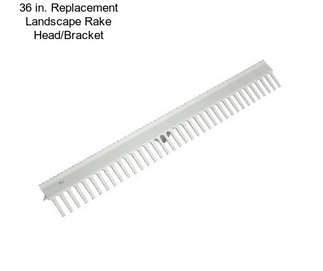 36 in. Replacement Landscape Rake Head/Bracket