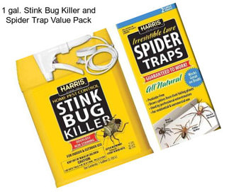 1 gal. Stink Bug Killer and Spider Trap Value Pack